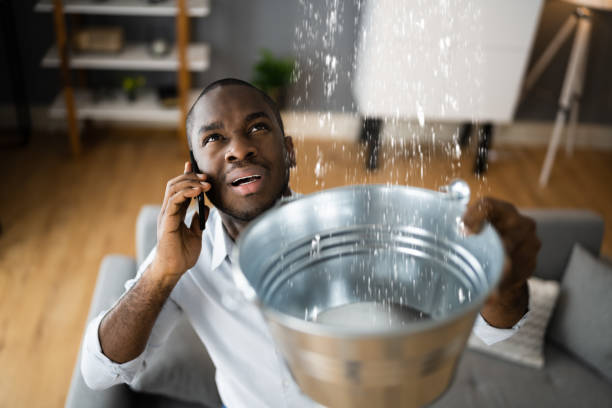 Best Water damage cleanup near me  in Millers Creek, NC