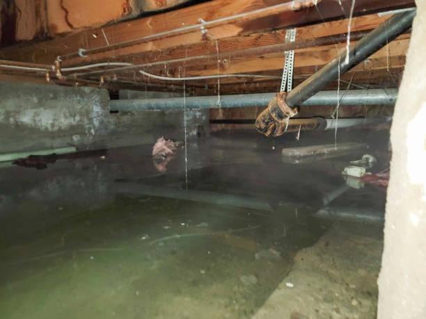 Best Water damage restoration mold remediation  in Millers Creek, NC