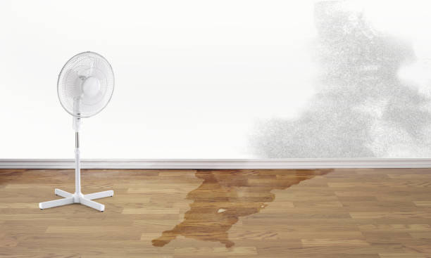 Best Water damage restoration near me  in Millers Creek, NC
