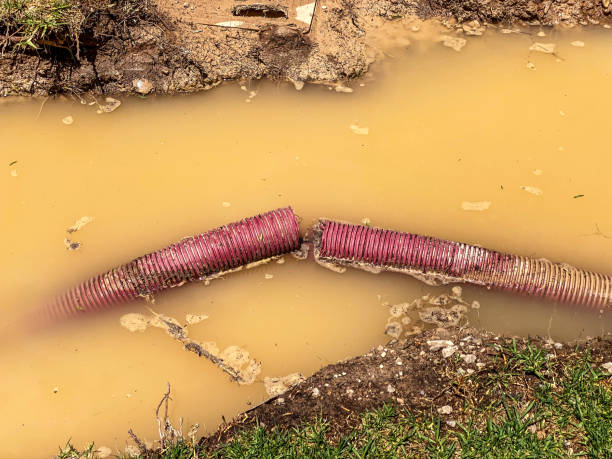 Best Residential water damage restoration  in Millers Creek, NC